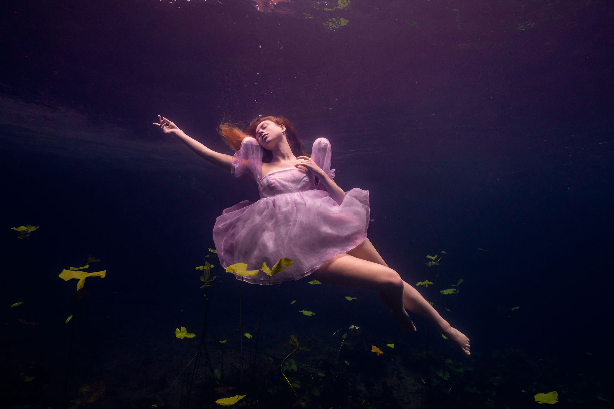 Professional underwater photographer