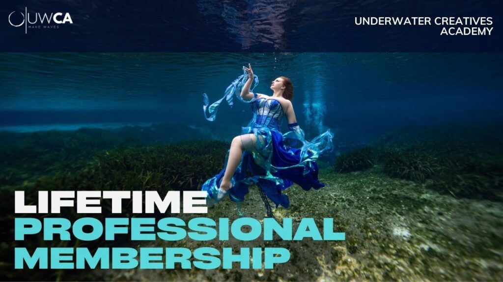 Professional Lifetime Membership