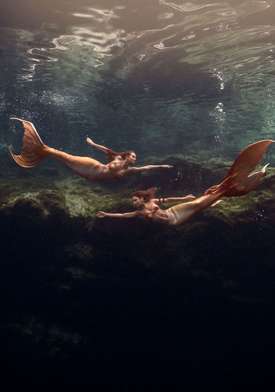Mermaid resting at the surface of a Florida spring with her fluke in frame