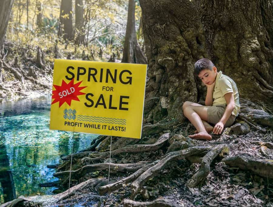 A Spring for Sale sign next to a Florida Spring basin with a boy sitting in the background looking sad.