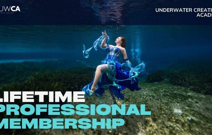 UWCA Professional Lifetime Membership